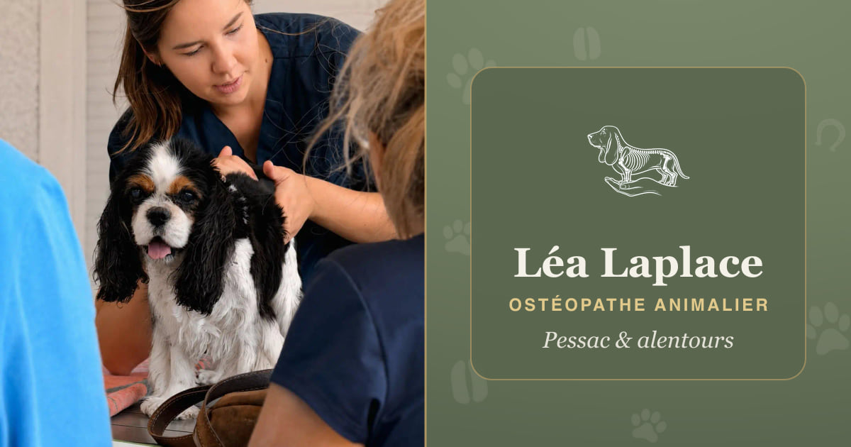 Photo de Léa Laplace — Ostéopathe animalier